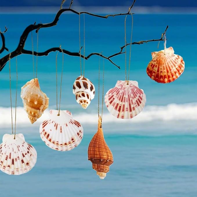 20 PCS Seashells Hanging Ornaments Natural Shells Decorations Beach Ocean by JQAQJU
