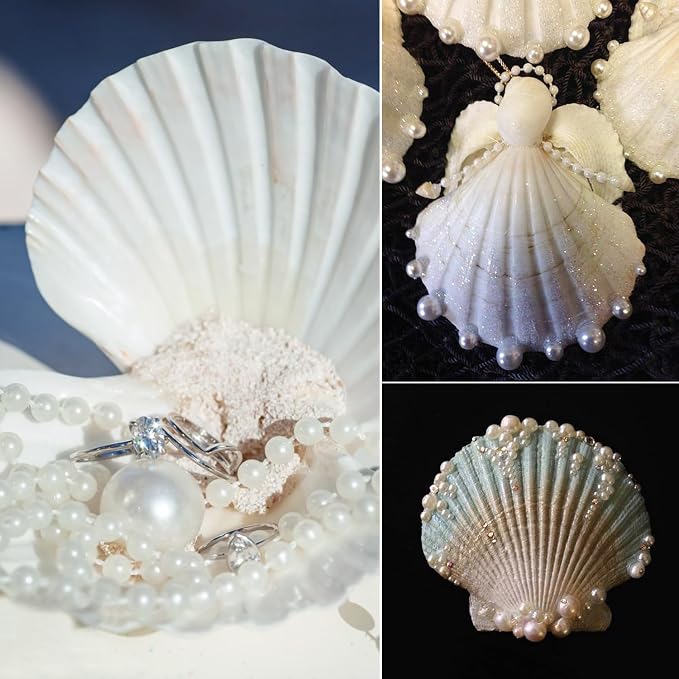 Jangostor 20 PCS Scallop Shells Natural Seashell, 2.3" to 3.5" White Scallop - Image 3