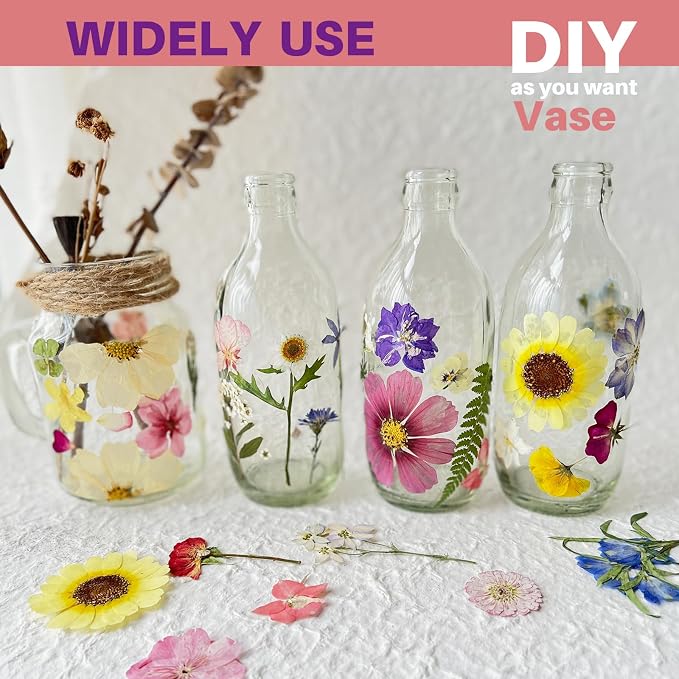 A4 Large Dried Pressed Flowers for Resin Purple Pressed Flowers Real Dry - Image 7