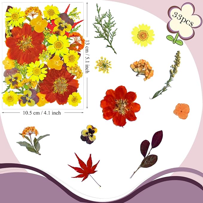 34 Pcs Yellow Dried Pressed Flowers - Image 6