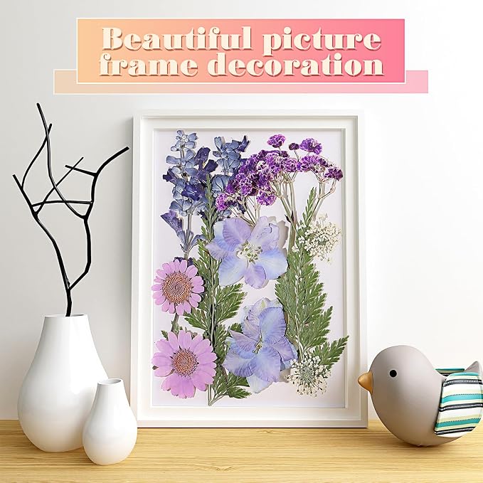eBoot 72 Pcs Dried Pressed Flowers - Image 6