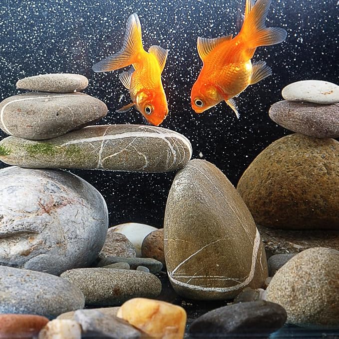 YISZM 40lbs Natural River Rocks, 1-2" Premium Pebbles - Image 5