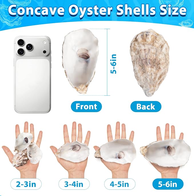 30Pcs 5-6 Inch Concave Large Oyster Shells - Image 5