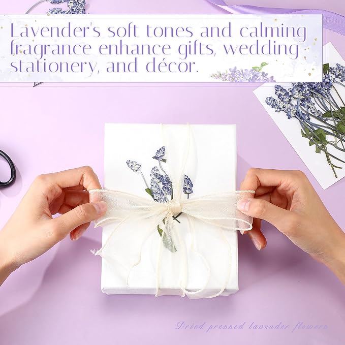 Wavwavw 200 Pcs Pressed Dried Lavender Flowers Stems Natural Preserved Real - Image 4