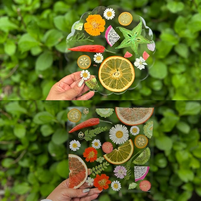 Nature Dried Pressed Fruits Flowers - Image 3