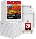 20 Pack Canvases for Painting by ESRICH