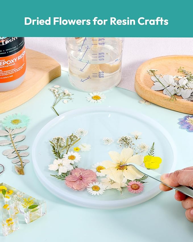 Dried Flowers, Resiners 100Pcs Pressed Flowers - Image 3