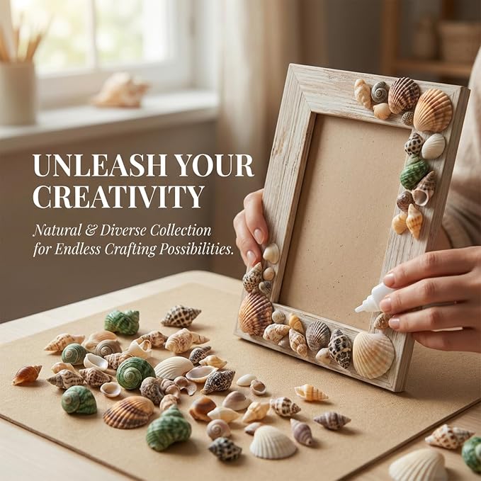 MAQIHAN Tiny Seashells for Crafts - Image 3