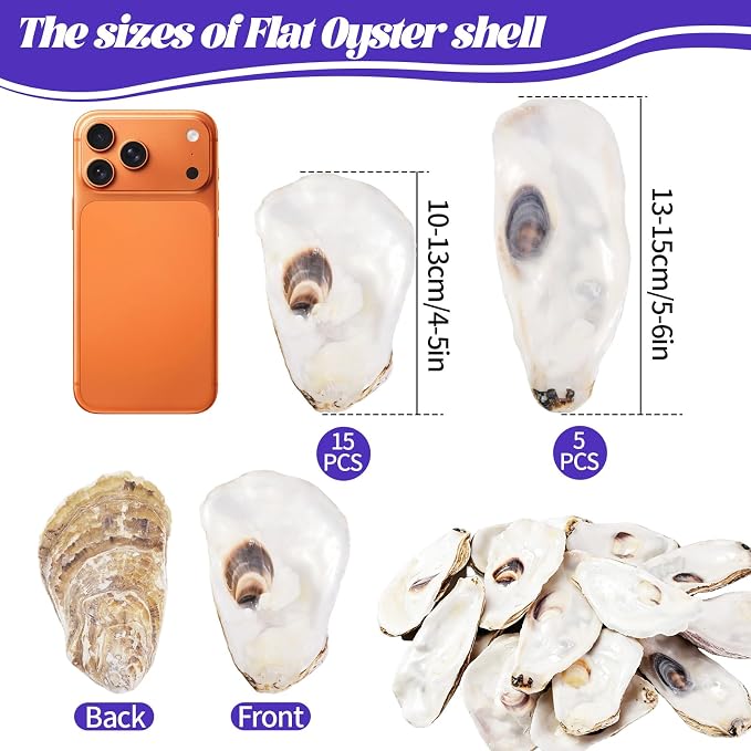 SINKOO 20PCS Flat Oyster Shells 4"-6", Large Oyster Shells - Image 2
