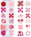 60Pcs Red Small Dried Pressed Flowers by Unknown