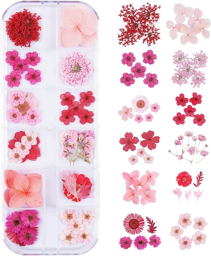 60Pcs Red Small Dried Pressed Flowers by Unknown