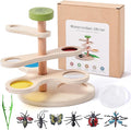 Insect Observation Kit for Kids, Wooden STEM Nature Exploration Science Toy by WOODENTEETHER