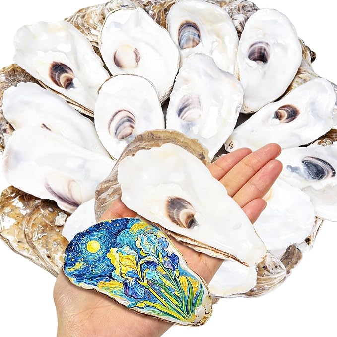 SINKOO 20PCS Flat Oyster Shells 4"-6", Large Oyster Shells by SINKOO