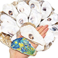 SINKOO 20PCS Flat Oyster Shells 4"-6", Large Oyster Shells by SINKOO