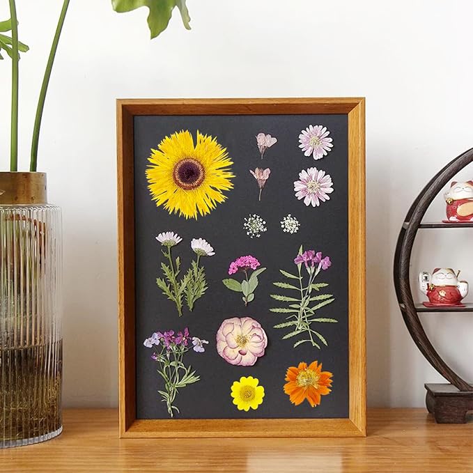 Woohome 44 PCS Orange Real Pressed Flowers, Dried Pressed Flowers - Image 7