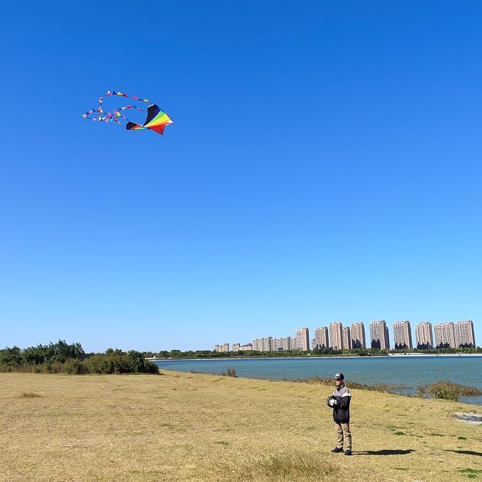 Large Single Line Beach Kite for Adults - Image 4