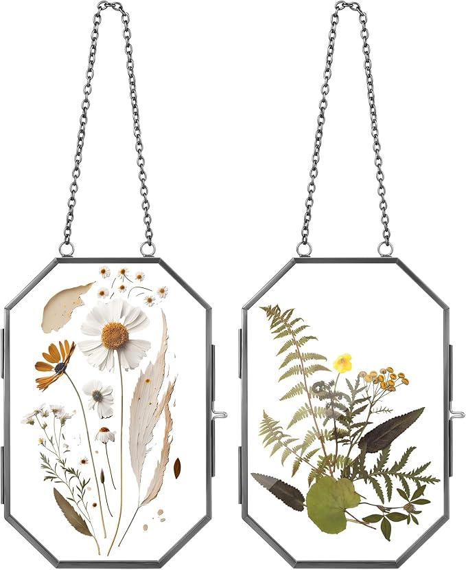 Qunclay 2 Pcs Double Glass Frame by Qunclay