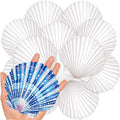 20Pcs 4-5 Inch Large Scallop Shells by LAMIVORA