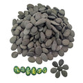 Rocks for Painting, Hand Picked Smooth Stones for Craft Petroglyphs, Painting by Nasrslla