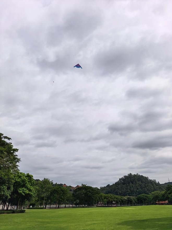 B2 Model Airplane Kite, Large Easy to Fly Kites Adults, 300FT String Reel - Image 6