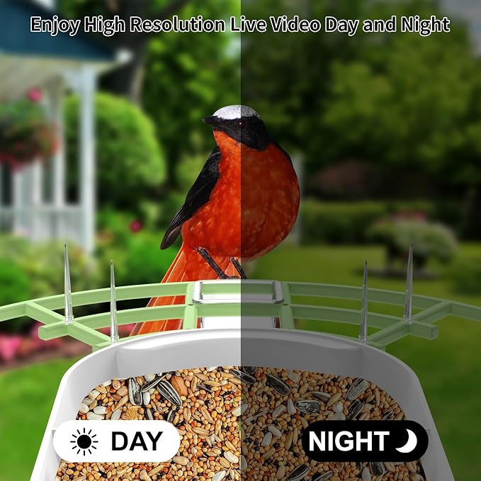 Bird Feeder with Camera, Smart AI Birds Breed Recognition, Birds Motion - Image 5