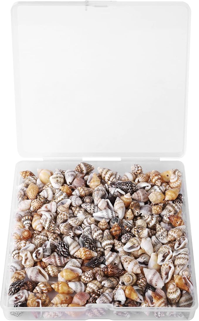500pcs Natural Tiny Small Seashells - Image 2
