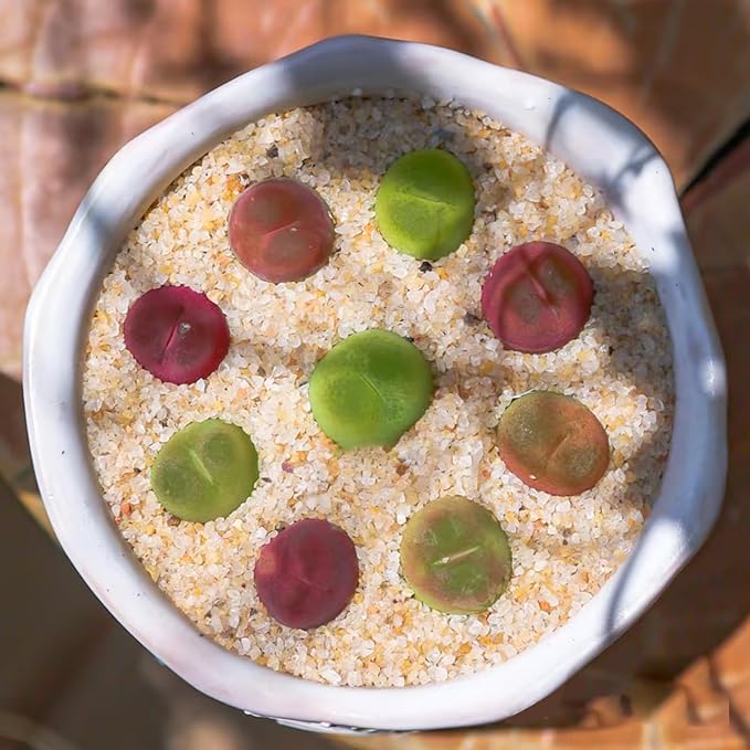 YISZM Aquarium Sand, 5lbs Beige Fish Tank Sand, Aquarium Gravel Substrate - Image 4