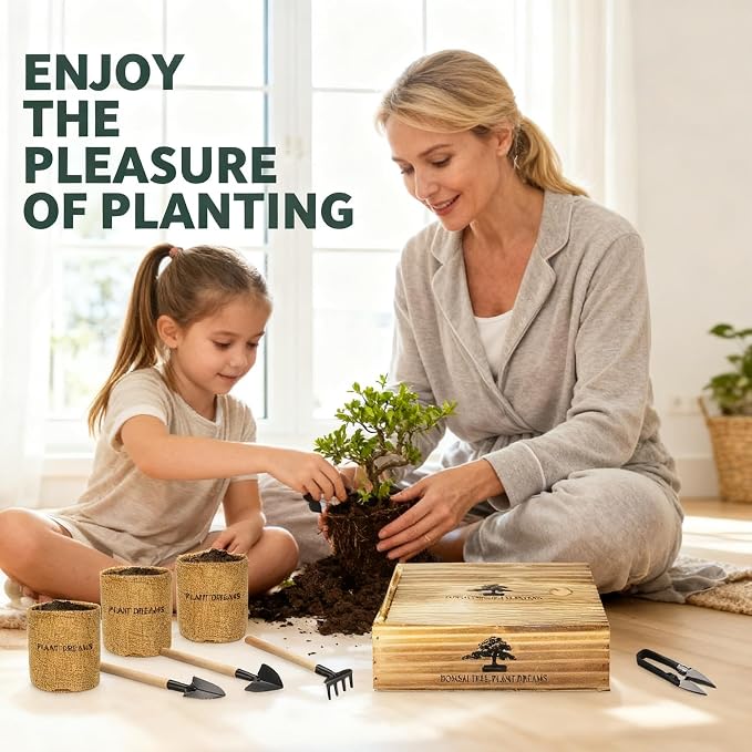 Bonsai Tree Starter Kit for Beginners - Image 5