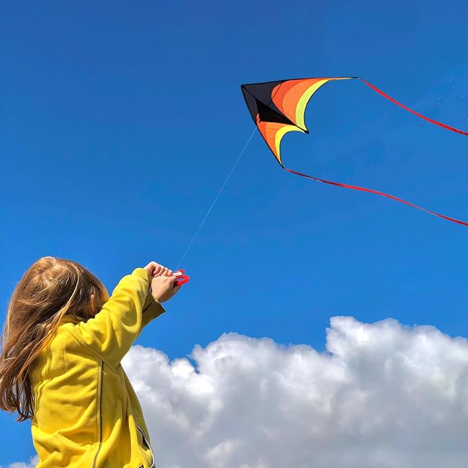 Large Single Line Beach Kite for Adults - Image 3