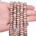 Songxi 5x8mm Natural Red Network Stone Rondelle Beads, Gemstone by SongXi