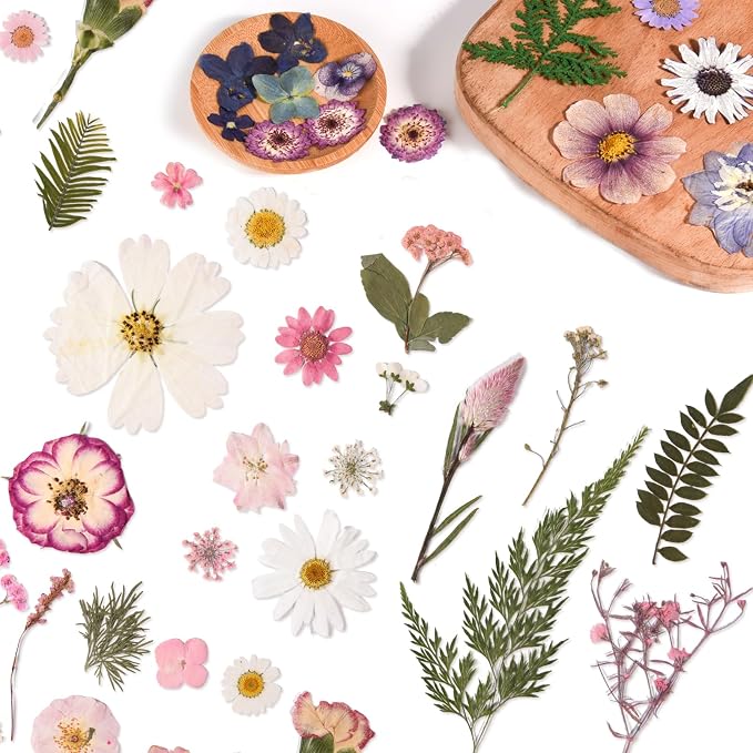 80PCS Pink Pressed Dried Flowers Dry Leaves - Image 3