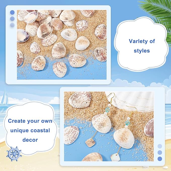 PH PandaHall 40~50pcs Tiny Scallop Sea Shells 24~29mm Ocean Beach Clam Craft - Image 4