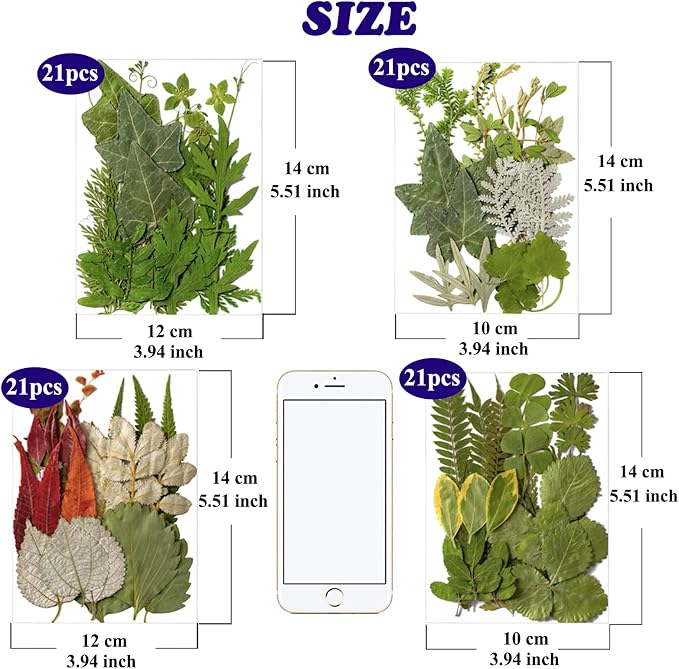 84 Pcs Dried Leaves Pressed Flowers - Image 7