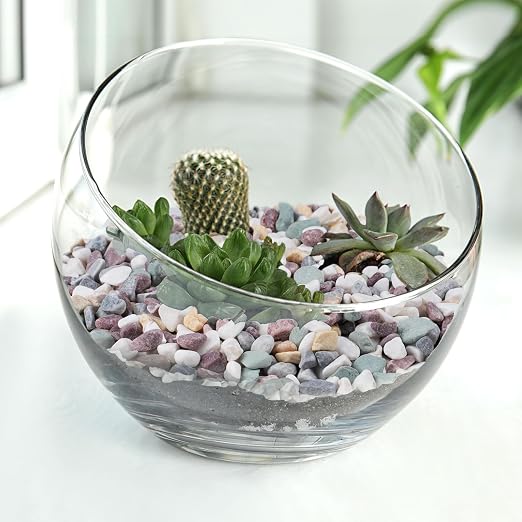 Pulovin 5 lbs Pea Gravel for Plants, Fish Tank, 3/8 inch Decorative Pebbles for - Image 6