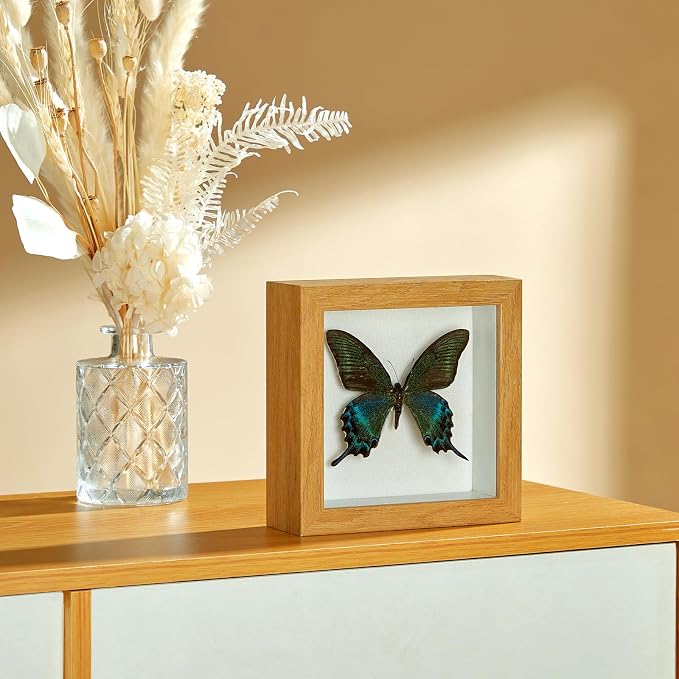 5x5 Small Shadow Box Picture Frame - Image 7