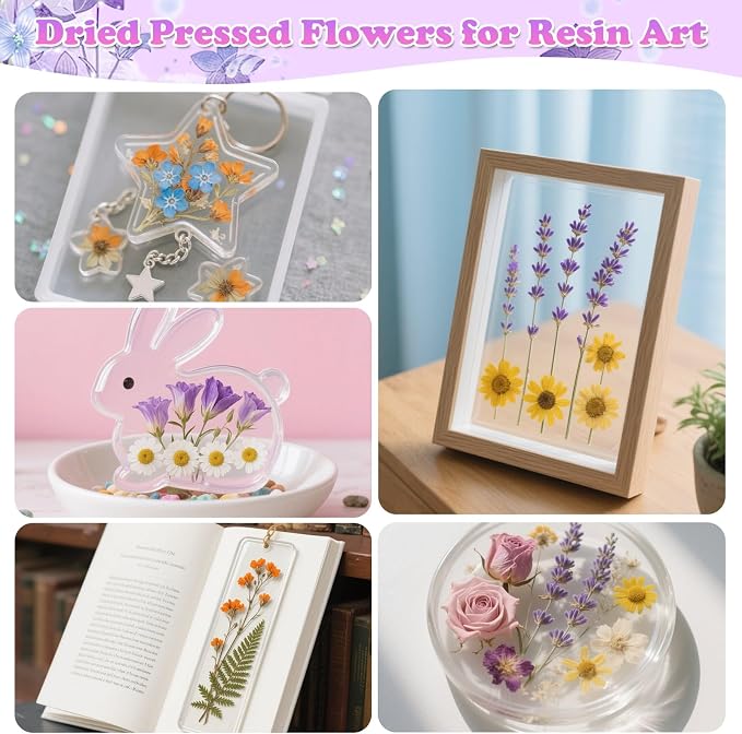 300 Pcs Pressed Dried Flowers - Image 6