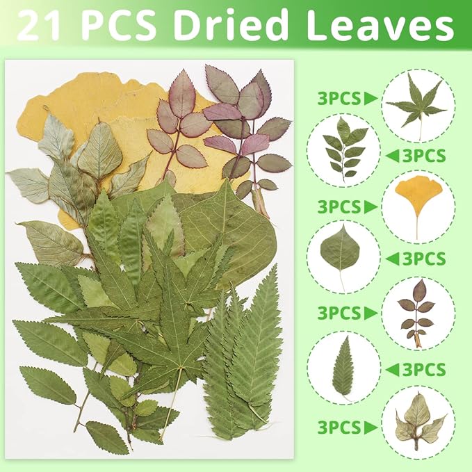 63 Pcs Real Dried Pressed Leaves Natural Assorted Dried Greenery - Image 4