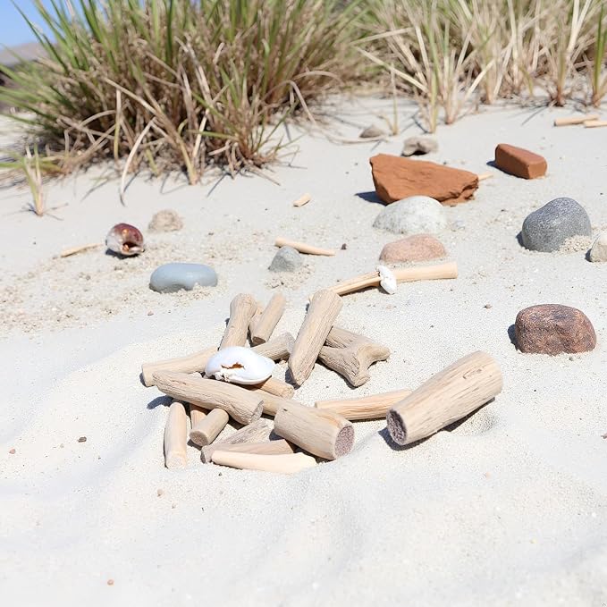20Pcs Natural Driftwood Pieces - Image 9