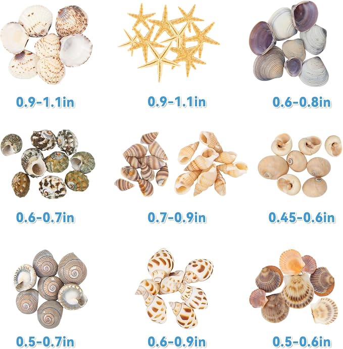 Tiny Sea Shells & 6 Starfish Decor Mixed Ocean Beach Spiral Seashells - Image 3