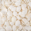 Natural Tiny Sea Shells Small White Clam Shells by WeDoSoy