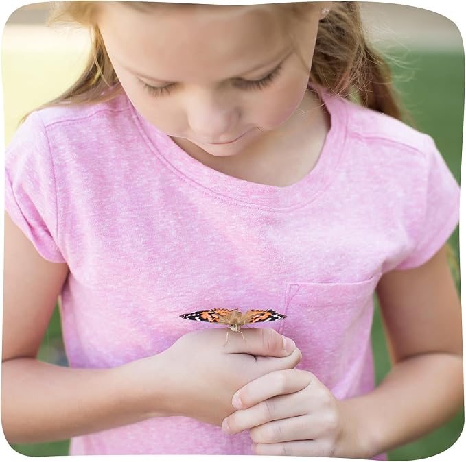 Insect Lore Raise and Release Butterfly Garden Kit – Caterpillar Habitat - Image 9