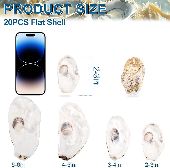 QICQDRAM 20PCS Flat Oyster Shells 2-3" Small Natural White Shells - Image 2