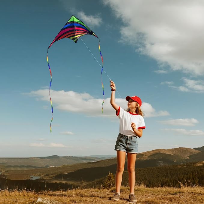Large Single Line Beach Kite for Adults - Image 4