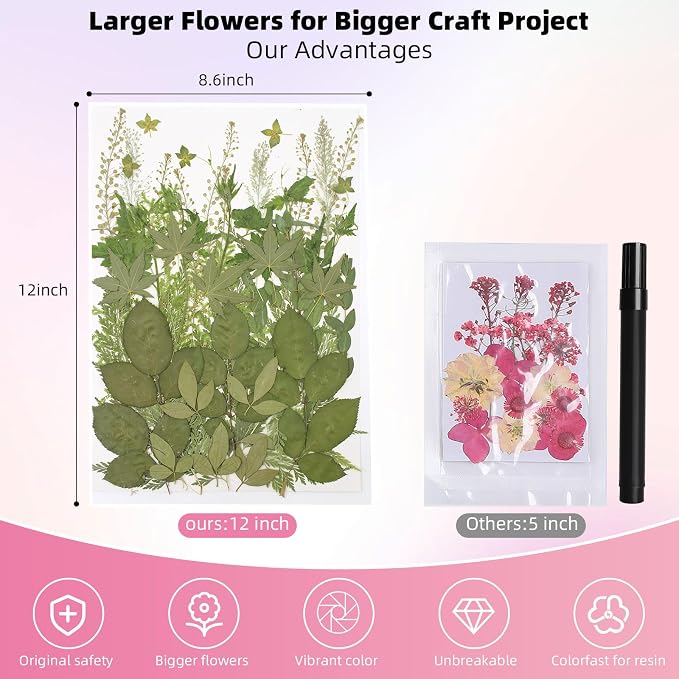 12“ Large Bulk Summer Dried Pressed Flowers - Image 2