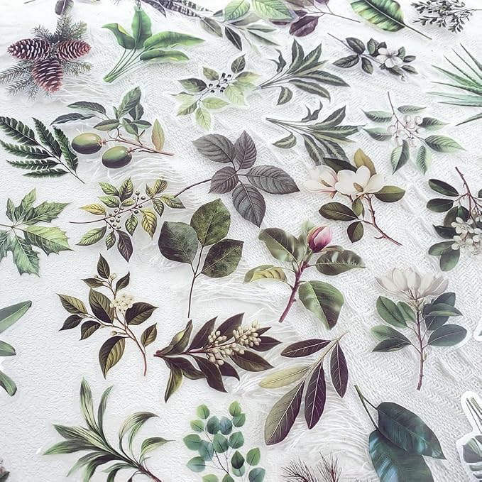 50-Piece Transparent Waterproof Greenery Plant Stickers - Image 2