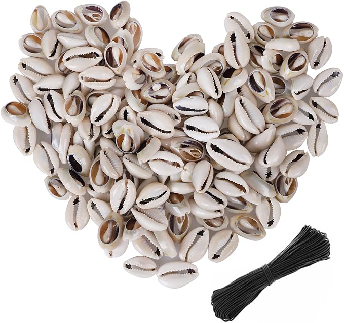 150 PCS White 0.63"-0.71" Natural Strong Cowrie Shell Beads Smooth Cut Oval - Image 7