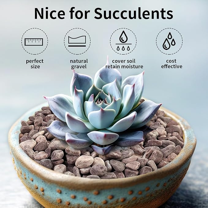 FANTIAN 5 lbs Succulent and Cactus Pebbles - Image 8