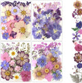 80Pcs Pressed Flowers, Dried Flowers Natural Pressed Flowers Bulk by Buzidao