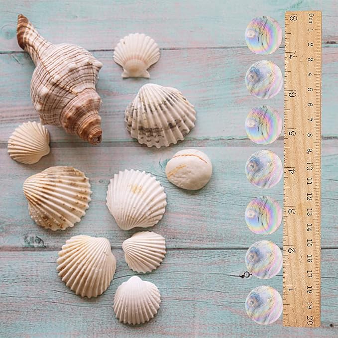 SUNNYCLUE 1 Box Shell Charms AB Color Flat Round Natural Capiz Seashell Slice - Image 3