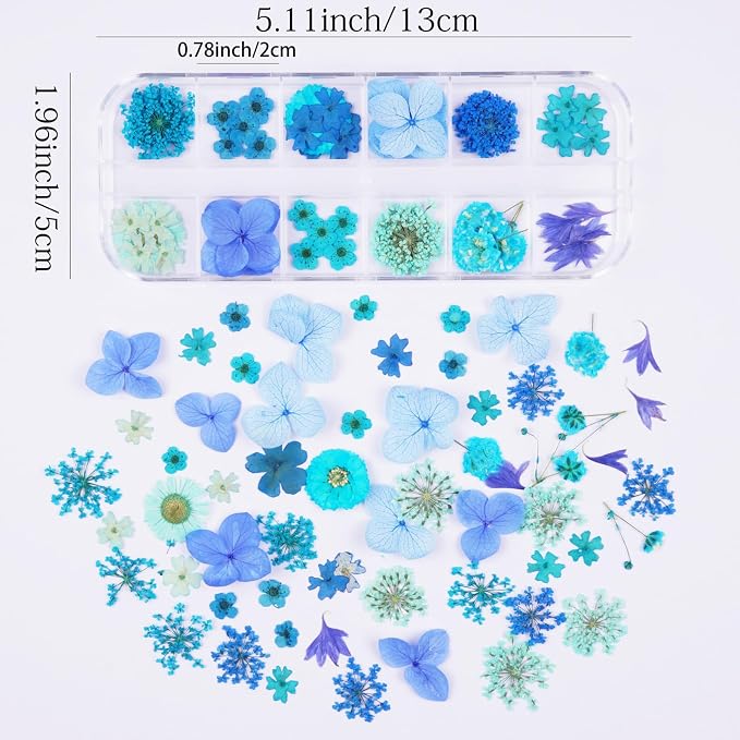 60Pcs Blue Small Dried Pressed Flowers - Image 2